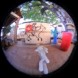IMG_5330_cr.jpg